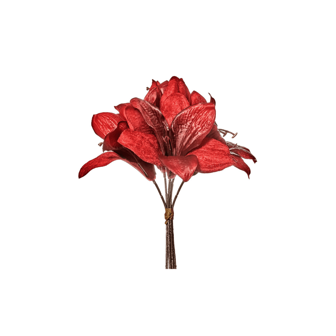 Floare Amaryllis Flower Bouquet Burg - Eclair.md