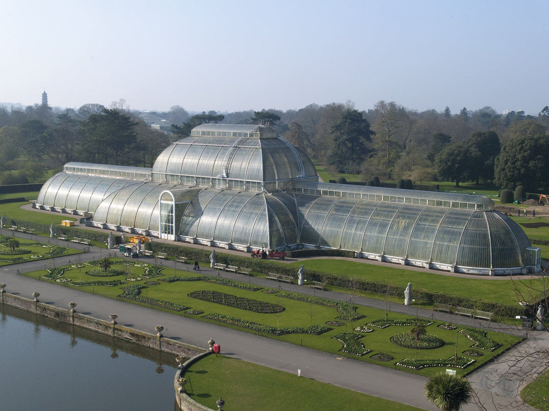Kew Gardens - una dintre cele mai mari gradini botanice din lume - Eclair.md