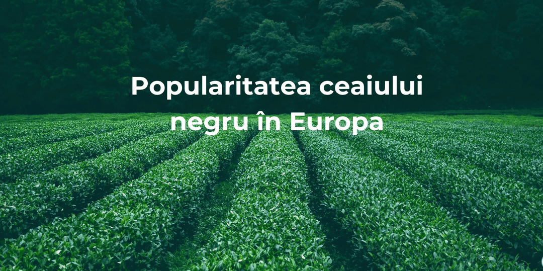 Popularitatea ceaiului negru în Europa - Eclair.md