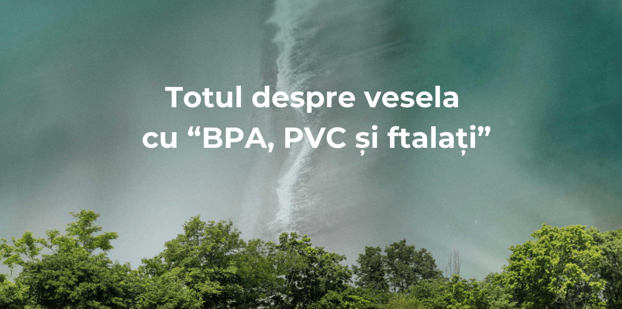 Totul despre ustensilele de bucătărie cu și fără BPA, PVC, ftalati - Eclair.md