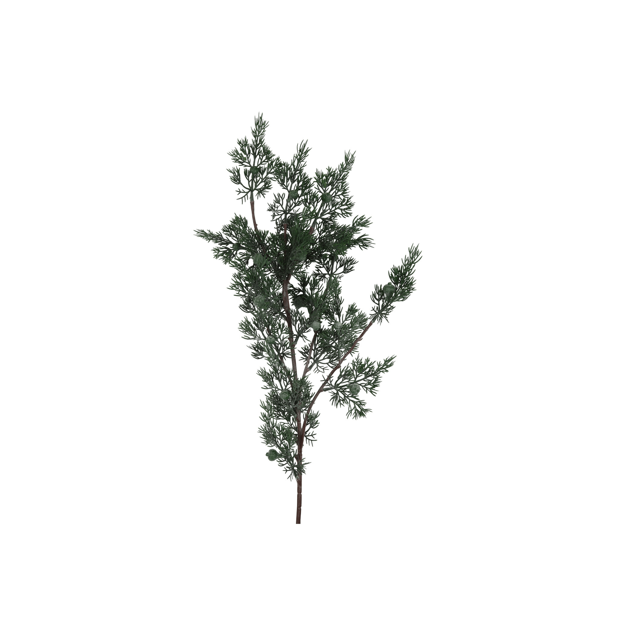 Crenguta 85cm Coniferae verde - Eclair.md