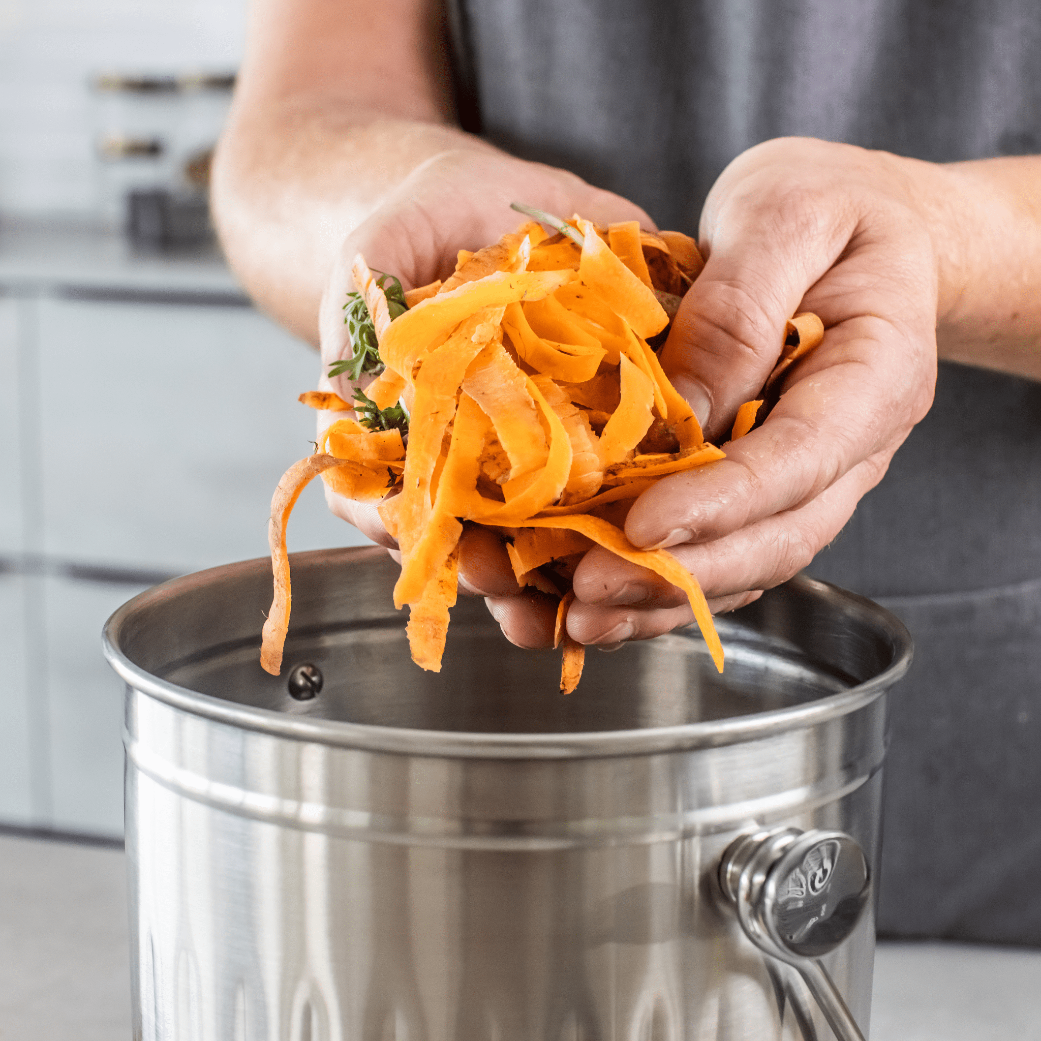 Recipient compost din inox - Eclair.md