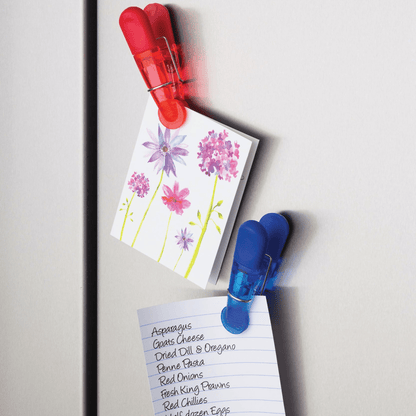 Set 7 clipsuri magnetice pentru pungi - Eclair.md