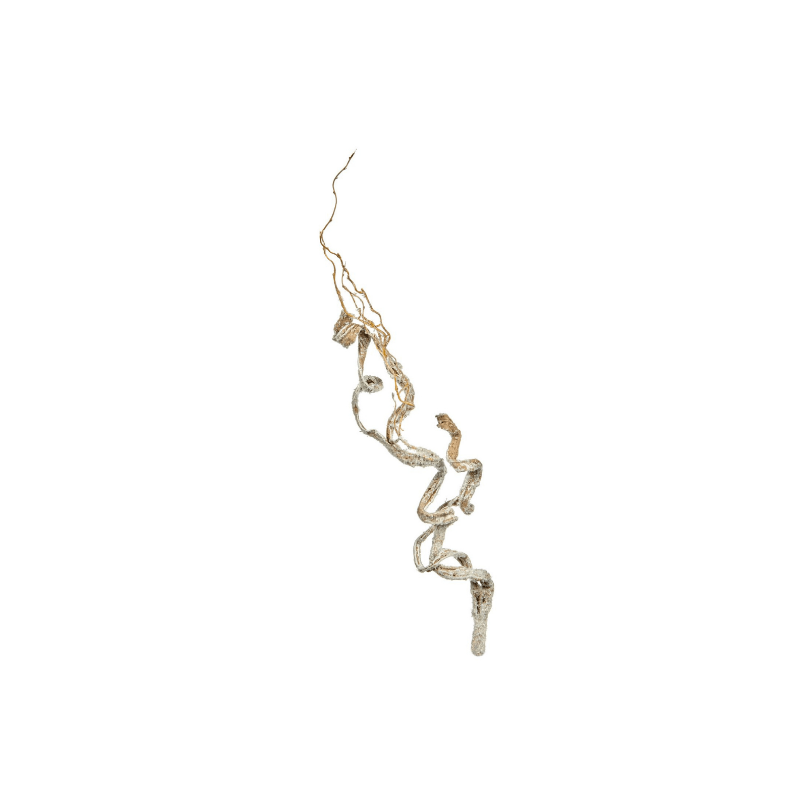 Crenguta Snow Curly Twig Branch White - Eclair.md