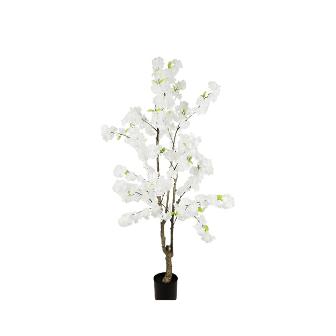 Floare 110cm Prunus alba - Eclair.md