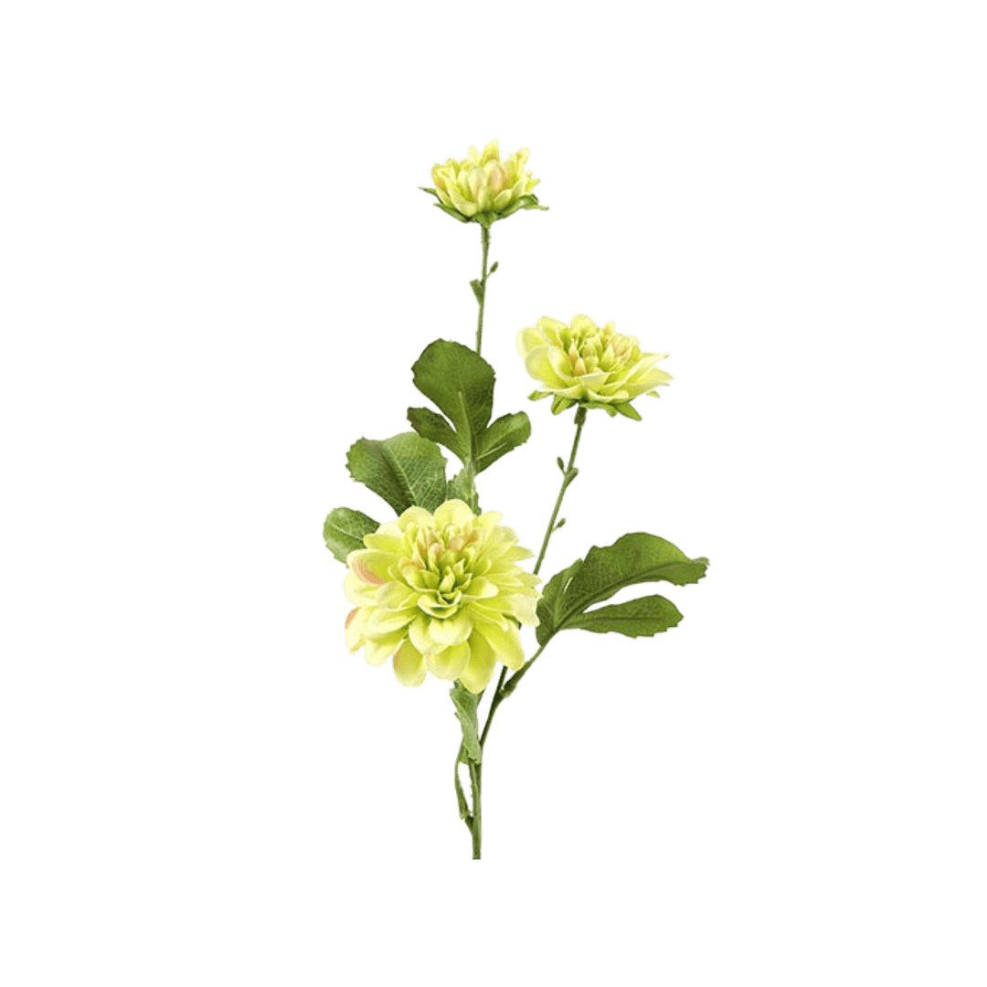 Floare 58cm Asteraceae galbena - Eclair.md