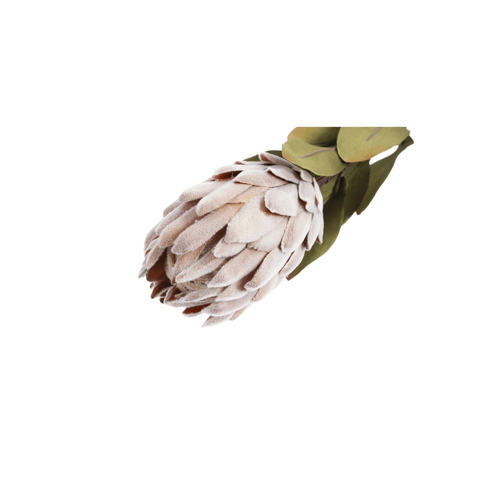 Floare 61cm Protea Pink - Eclair.md