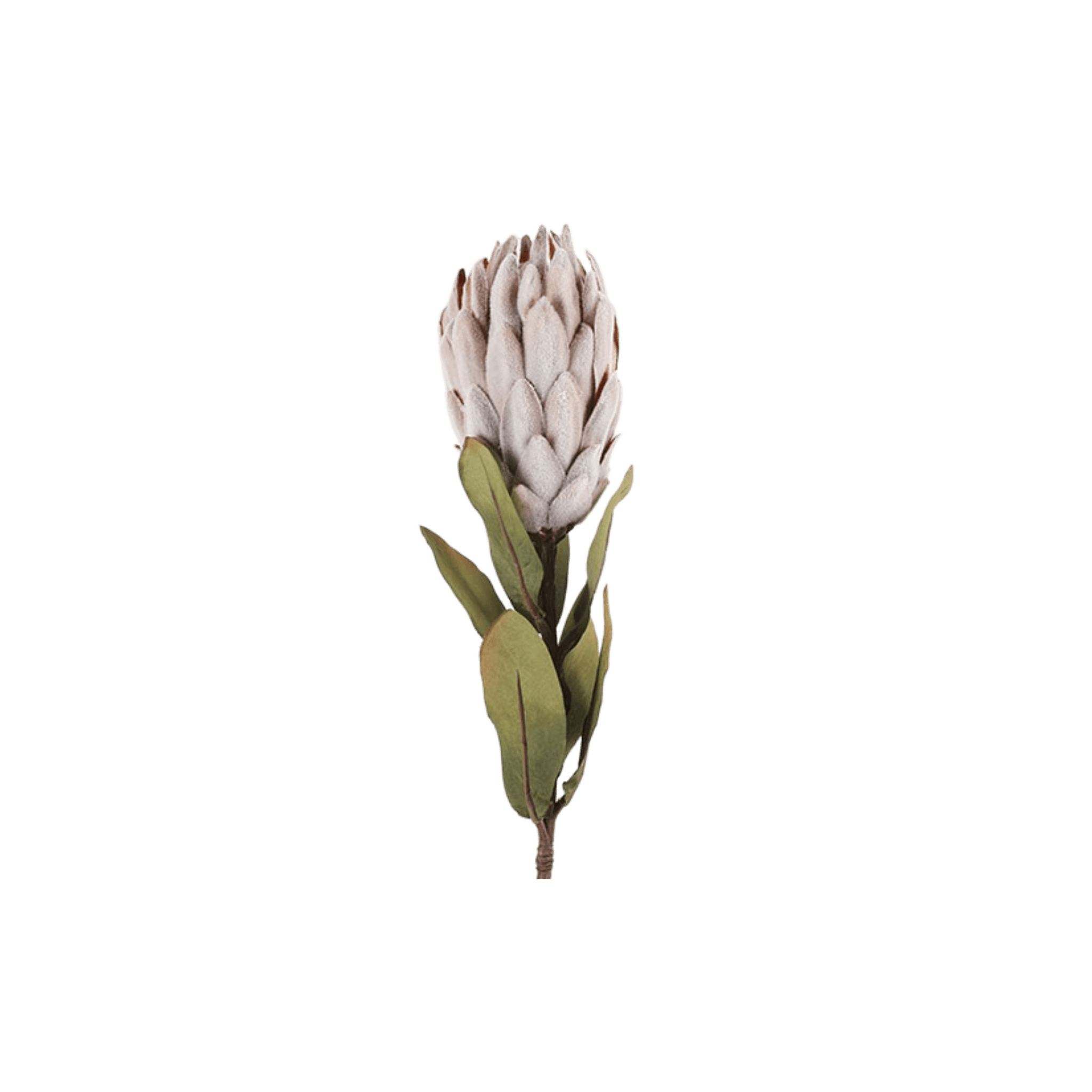 Floare 61cm Protea Pink - Eclair.md