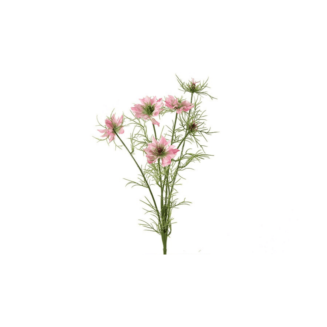 Floare 66cm Cosmos Bipinnatus Jalisha Pink - Eclair.md