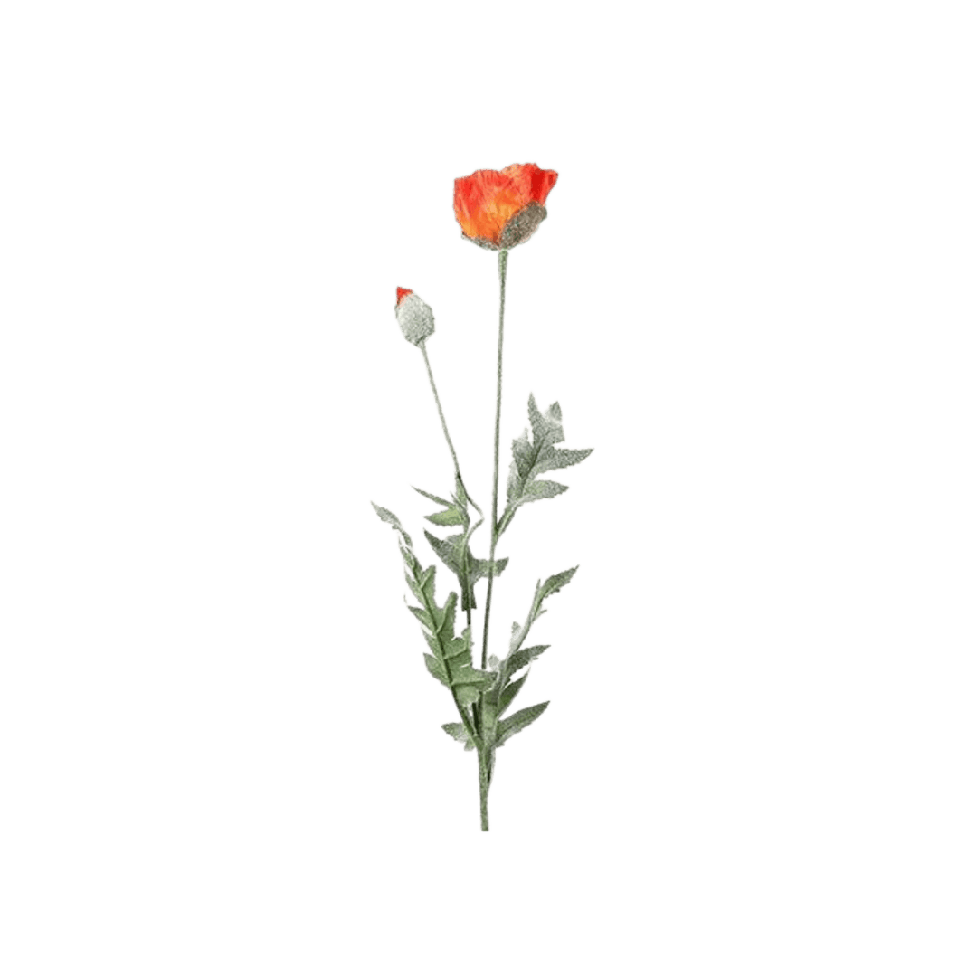 Floare 71.1cm Papaver Joleen portocalie - Eclair.md