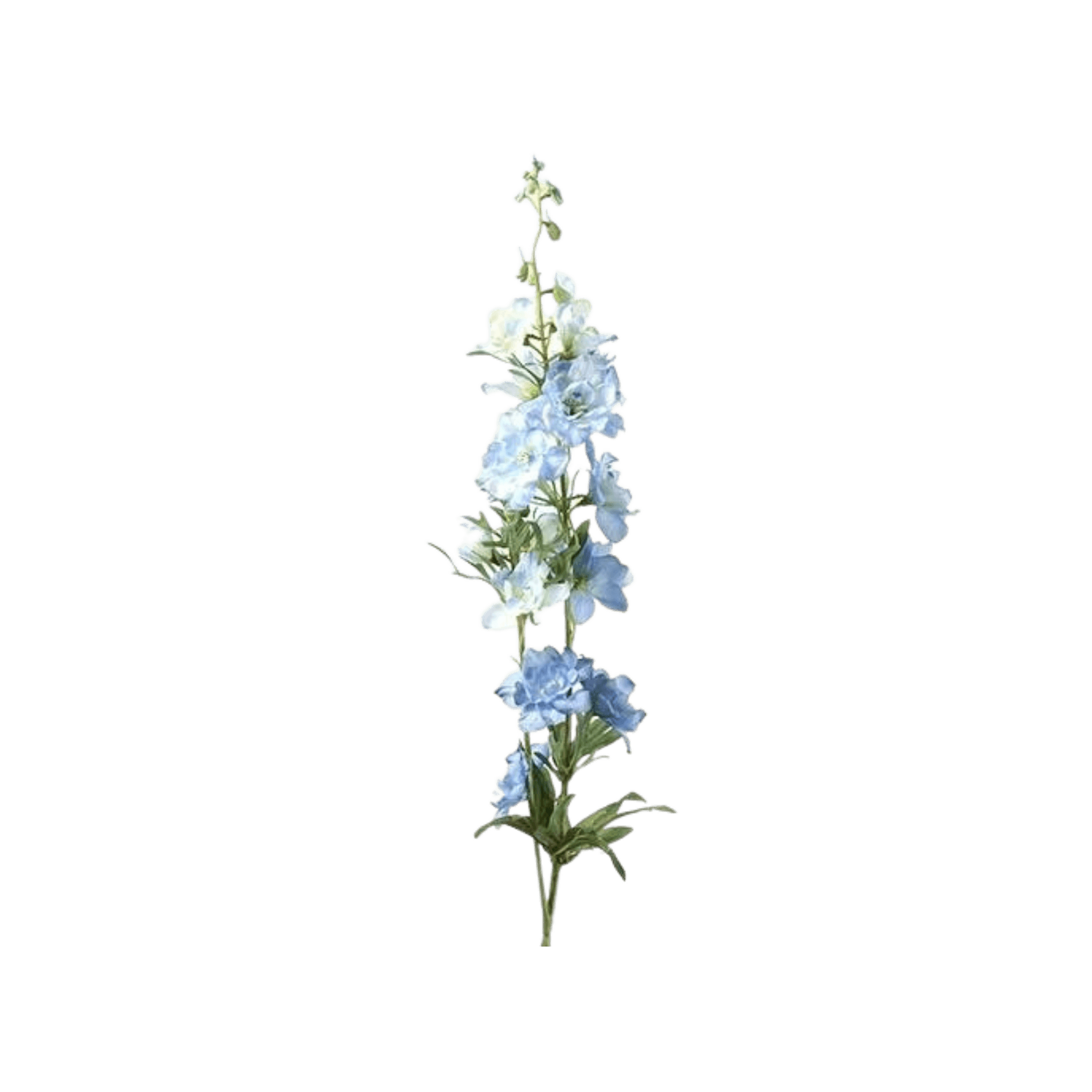 Floare 94cm Delphinium Jesika albastra - Eclair.md