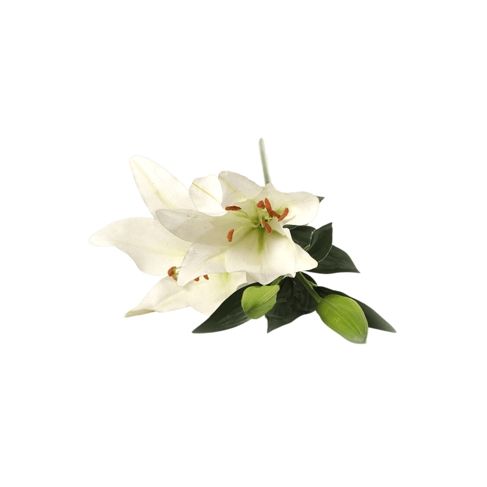 Floare 97cm Lilium Linzi alba - Eclair.md